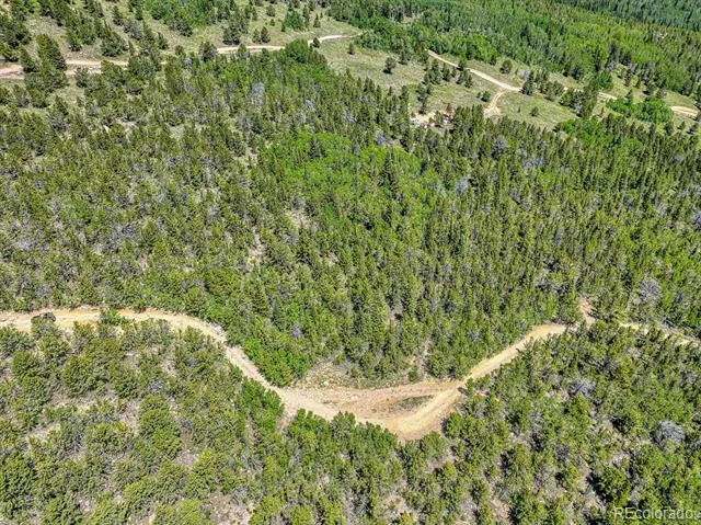 123 Yankee Hill Trail Black Hawk, CO 80427
