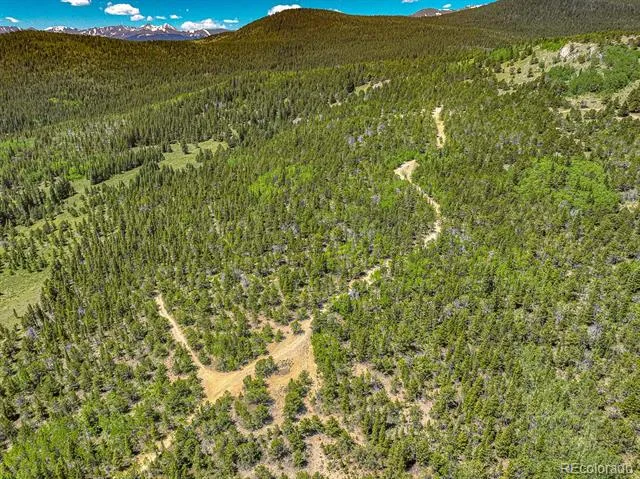123 Yankee Hill Trail Black Hawk, CO 80427