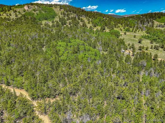 123 Yankee Hill Trail Black Hawk, CO 80427