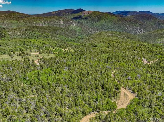 123 Yankee Hill Trail Black Hawk, CO 80427