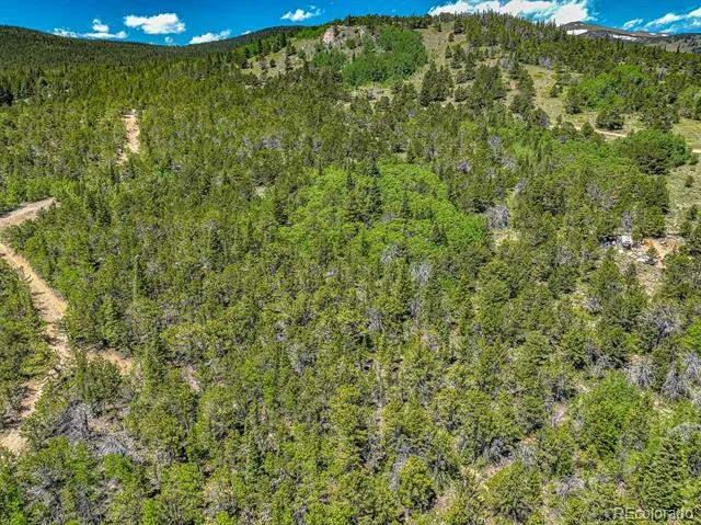 123 Yankee Hill Trail Black Hawk, CO 80427