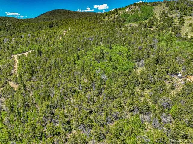 123 Yankee Hill Trail Black Hawk, CO 80427