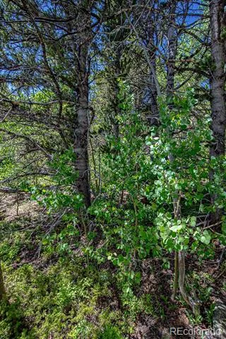 123 Yankee Hill Trail Black Hawk, CO 80427