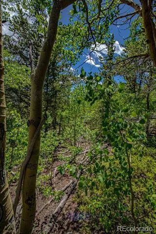 123 Yankee Hill Trail Black Hawk, CO 80427