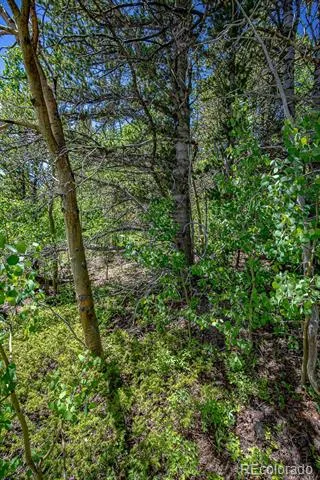 123 Yankee Hill Trail Black Hawk, CO 80427