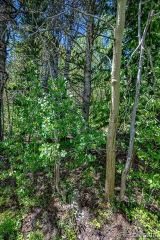 123 Yankee Hill Trail Black Hawk, CO 80427