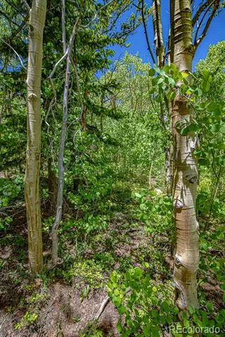123 Yankee Hill Trail Black Hawk, CO 80427