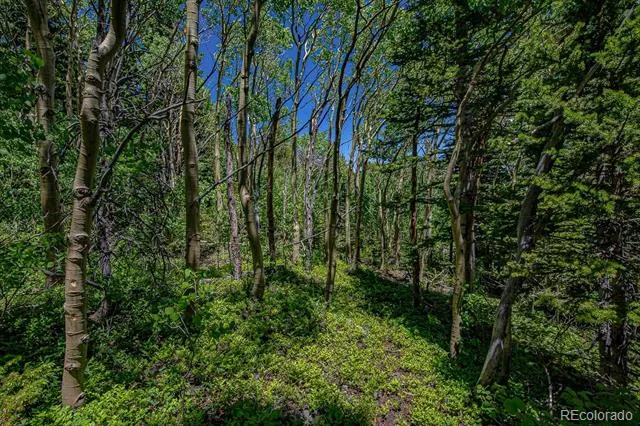 123 Yankee Hill Trail Black Hawk, CO 80427