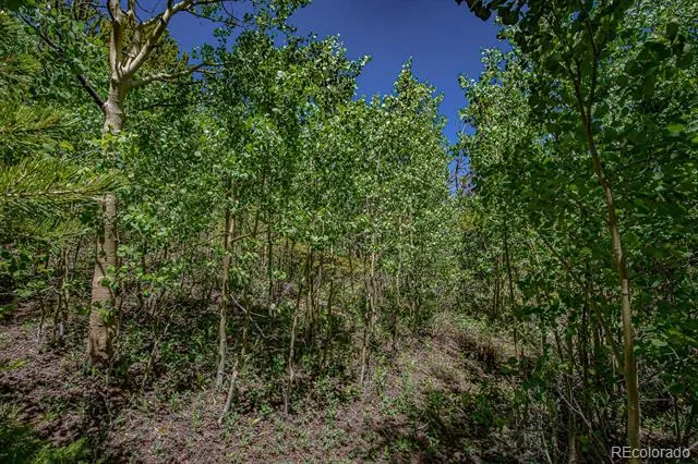 123 Yankee Hill Trail Black Hawk, CO 80427