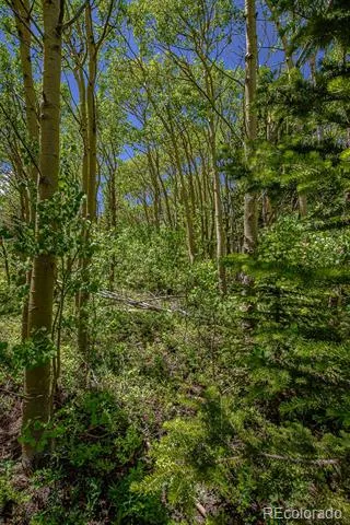 123 Yankee Hill Trail Black Hawk, CO 80427
