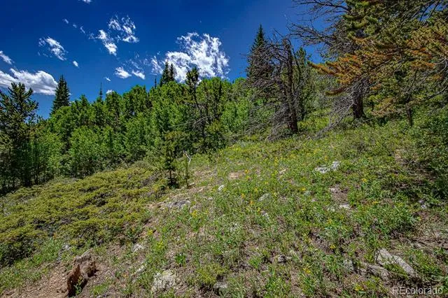 123 Yankee Hill Trail Black Hawk, CO 80427