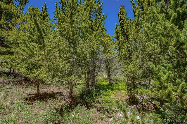 123 Yankee Hill Trail Black Hawk, CO 80427