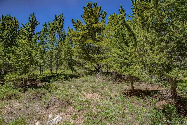 123 Yankee Hill Trail Black Hawk, CO 80427