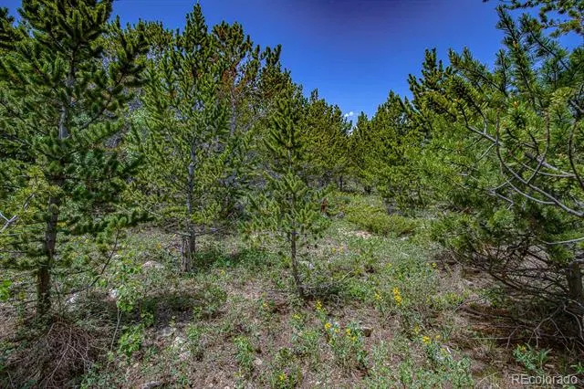 123 Yankee Hill Trail Black Hawk, CO 80427
