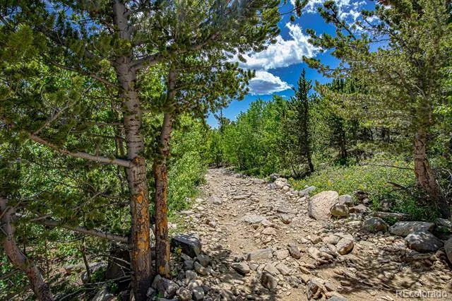 123 Yankee Hill Trail Black Hawk, CO 80427