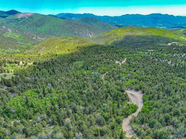 123 Yankee Hill Trail Black Hawk, CO 80427