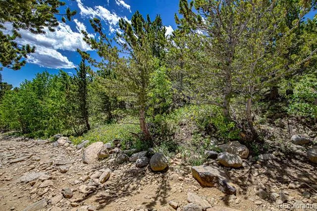 123 Yankee Hill Trail Black Hawk, CO 80427