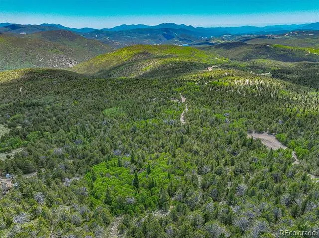 123 Yankee Hill Trail Black Hawk, CO 80427