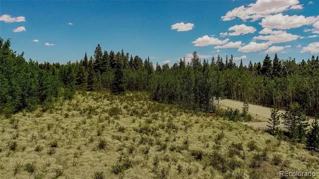 515 Wild Rye Road Fairplay, CO 80440