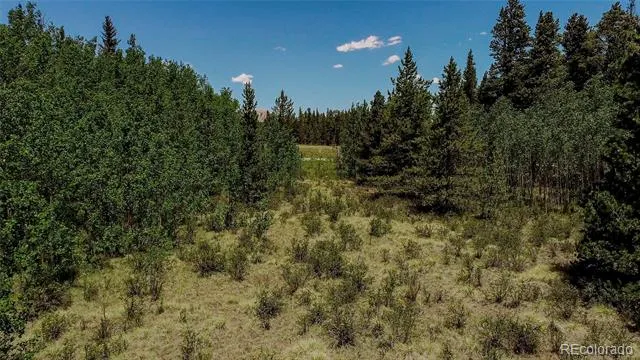 515 Wild Rye Road Fairplay, CO 80440