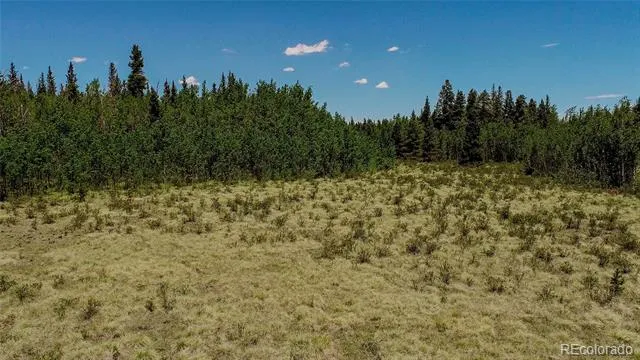 515 Wild Rye Road Fairplay, CO 80440