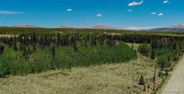 515 Wild Rye Road Fairplay, CO 80440