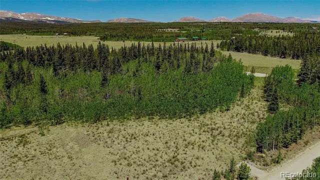 515 Wild Rye Road Fairplay, CO 80440