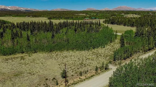 515 Wild Rye Road Fairplay, CO 80440