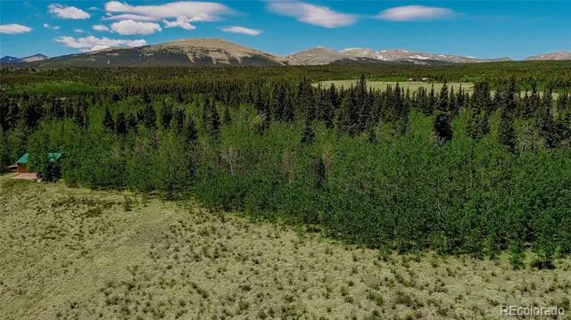 515 Wild Rye Road Fairplay, CO 80440