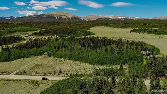 515 Wild Rye Road Fairplay, CO 80440