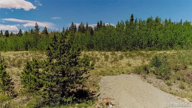 515 Wild Rye Road Fairplay, CO 80440