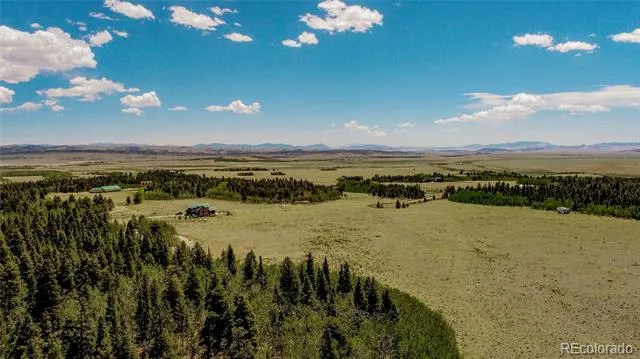 515 Wild Rye Road Fairplay, CO 80440