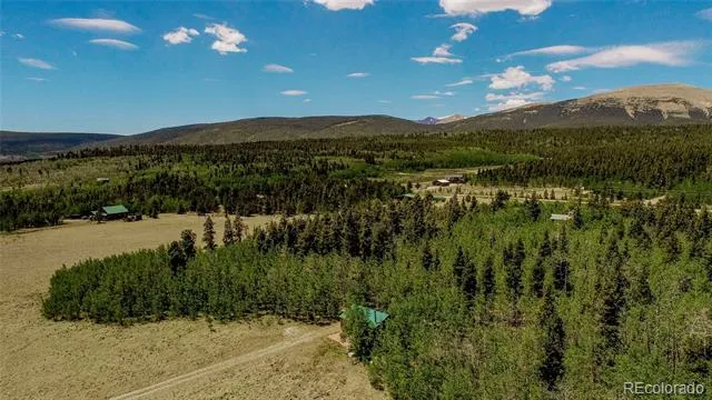 515 Wild Rye Road Fairplay, CO 80440
