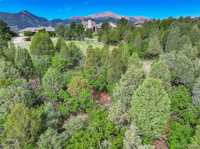 3585 Twisted Oak Circle Colorado Springs, CO 80904