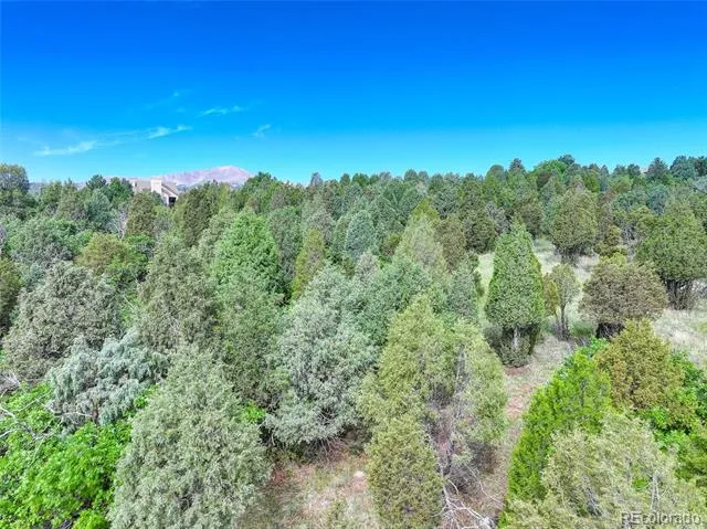 3585 Twisted Oak Circle Colorado Springs, CO 80904
