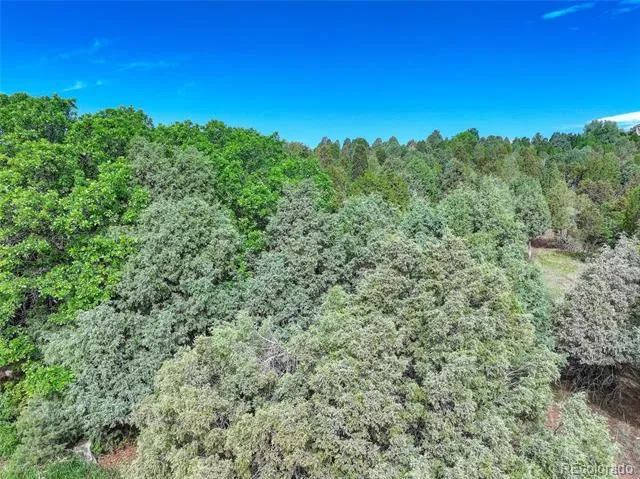 3585 Twisted Oak Circle Colorado Springs, CO 80904