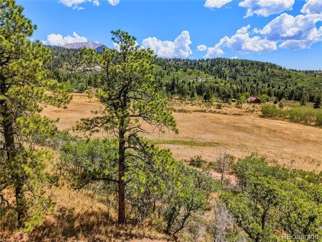 Spanish Peaks Ranch Lots 56 & 57 Aguilar, CO 81020