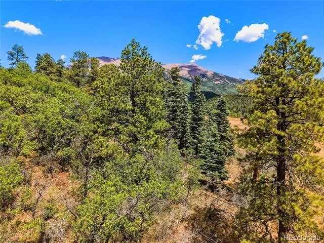 Spanish Peaks Ranch Lots 56 & 57 Aguilar, CO 81020