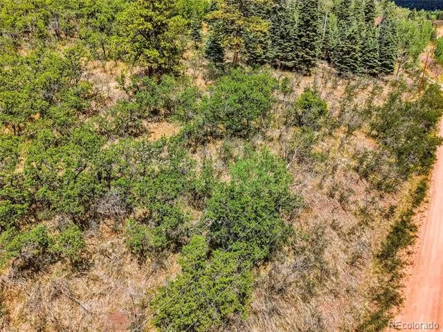 Spanish Peaks Ranch Lots 56 & 57 Aguilar, CO 81020