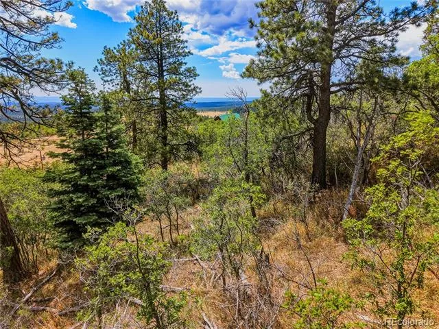 Spanish Peaks Ranch Lots 56 & 57 Aguilar, CO 81020