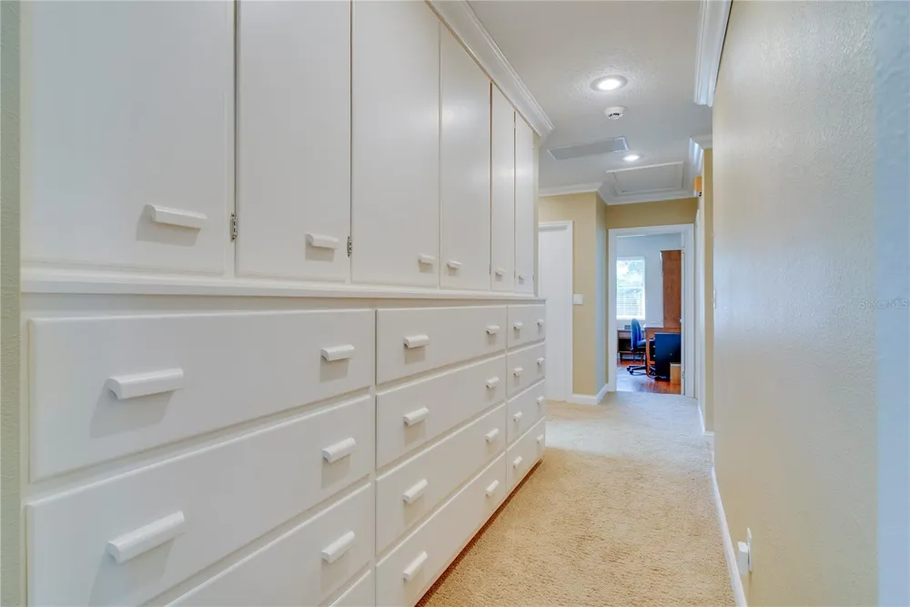 241 DILLARD STREET Winter Garden, FL 34787