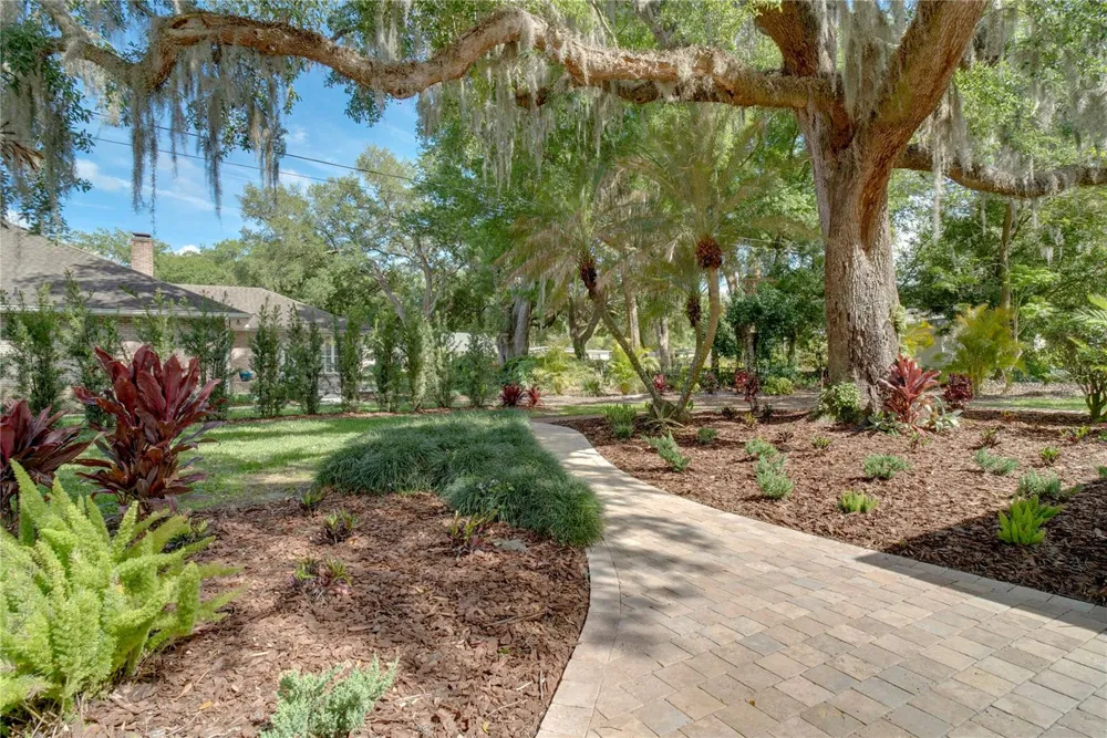 241 DILLARD STREET Winter Garden, FL 34787