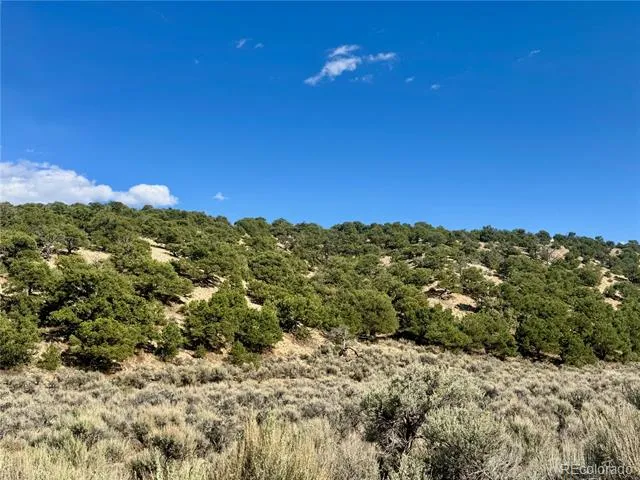 lot 3817 Fontaine Road Fort Garland, CO 81133