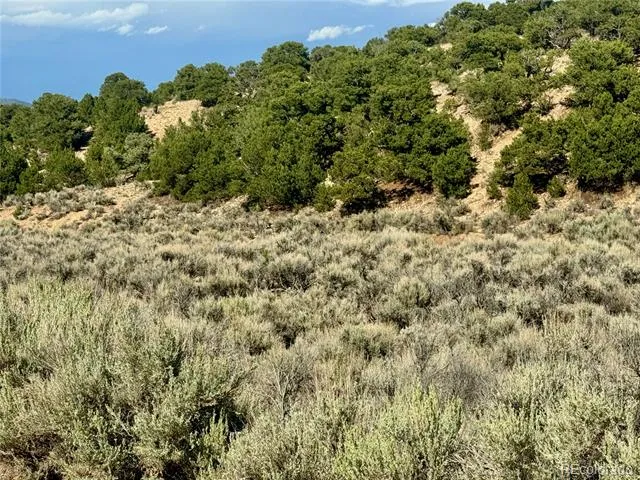 lot 3817 Fontaine Road Fort Garland, CO 81133