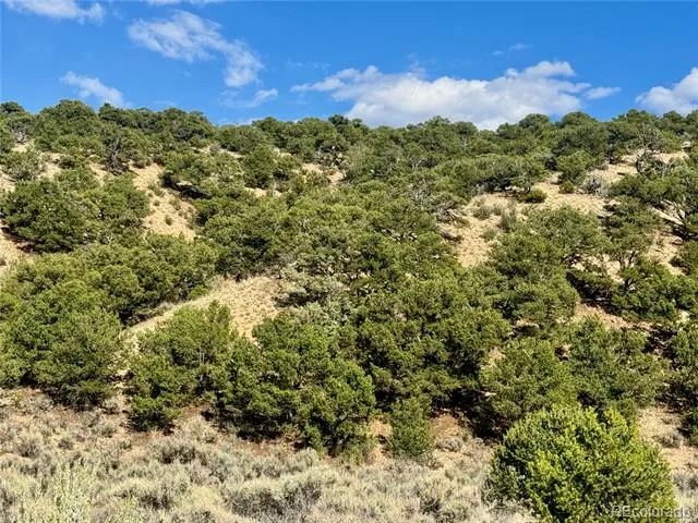 lot 3817 Fontaine Road Fort Garland, CO 81133