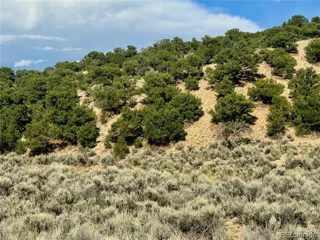 lot 3817 Fontaine Road Fort Garland, CO 81133