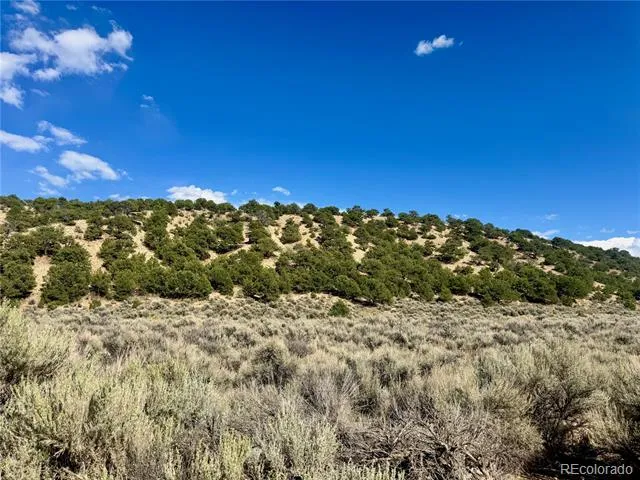 lot 3817 Fontaine Road Fort Garland, CO 81133