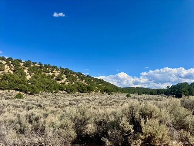 lot 3817 Fontaine Road Fort Garland, CO 81133