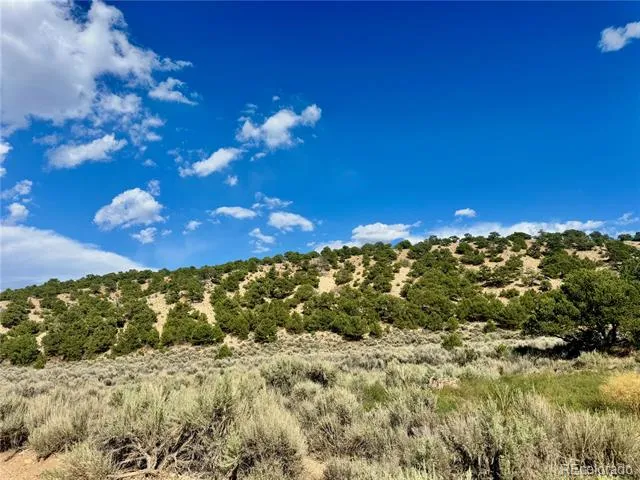 lot 3817 Fontaine Road Fort Garland, CO 81133