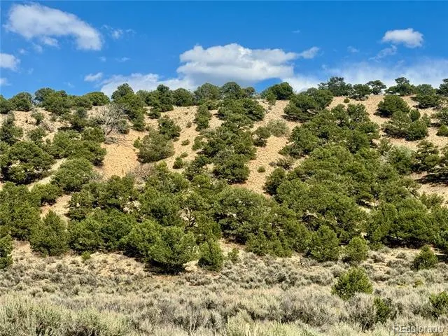 lot 3817 Fontaine Road Fort Garland, CO 81133